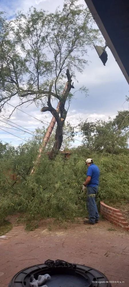 Trusted landscaping services near you across Tucson, AZ - Los Sauces Landscaping and Tree Services