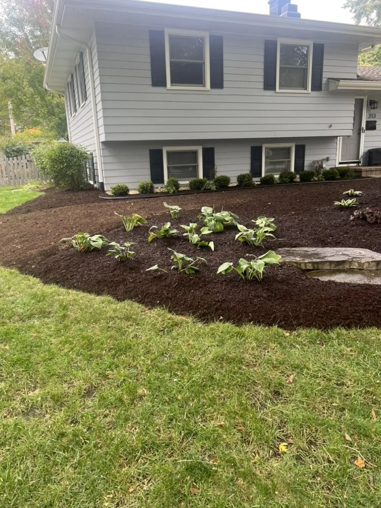 Top-rated yard maintenance for year-round maintenance in Romeoville, IL by Los Tarasco Complete Lawn Services