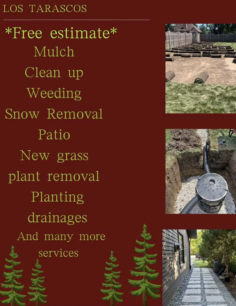 Trusted yard cleanup service in Romeoville, IL by Los Tarasco Complete Lawn Services