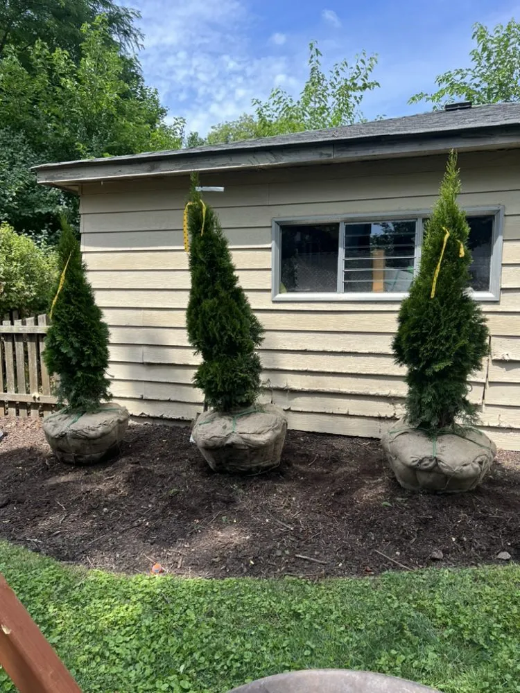 Top-rated landscape design for beautiful yards in Romeoville, IL by Los Tarasco Complete Lawn Services