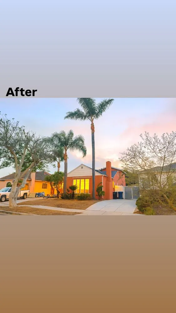 Expert yard cleanup service in Los Angeles, CA - Los Tigritos Landscaping