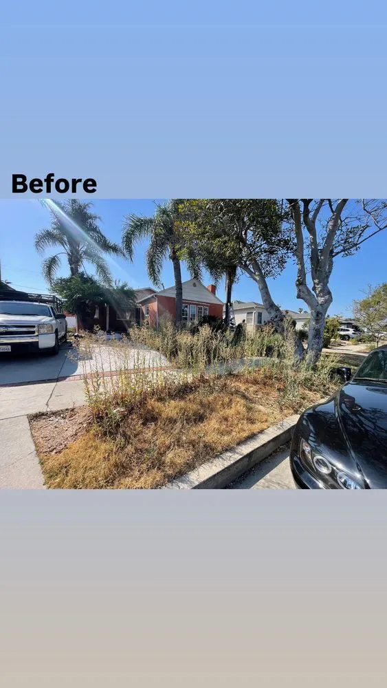Local yard cleanup service for beautiful yards across Los Angeles, CA - Los Tigritos Landscaping