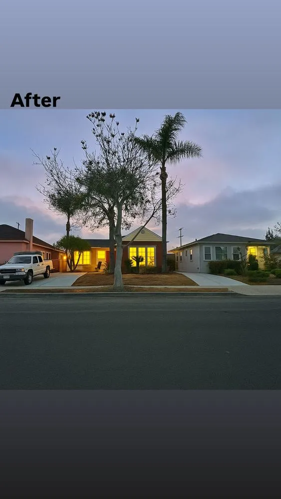 Reliable lawn care service with custom design in Los Angeles, CA by Los Tigritos Landscaping