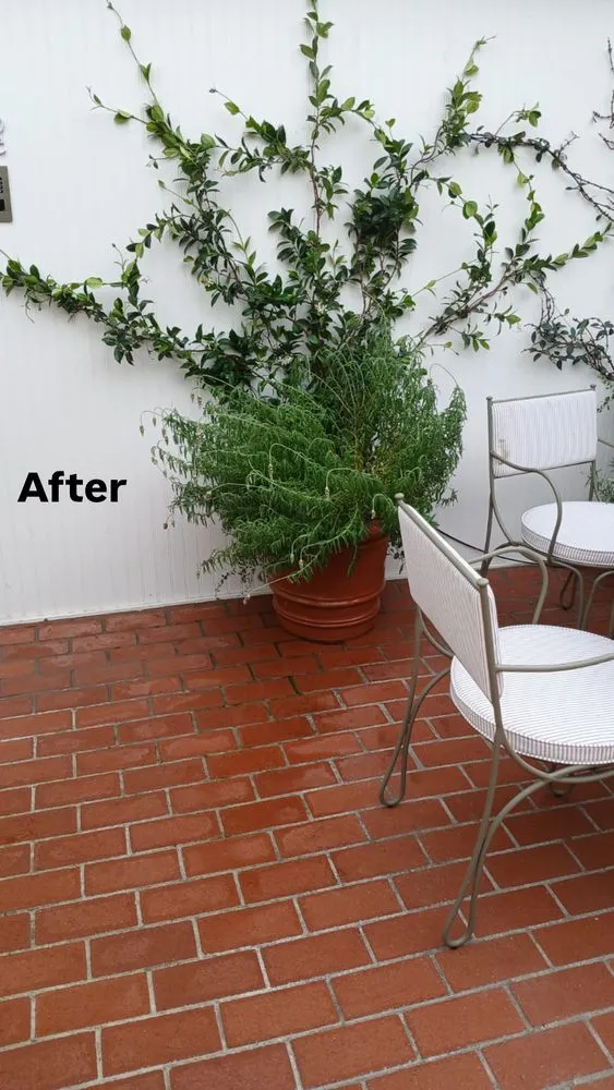 Top-rated outdoor landscaping near you across Los Angeles, CA - Los Tigritos Landscaping