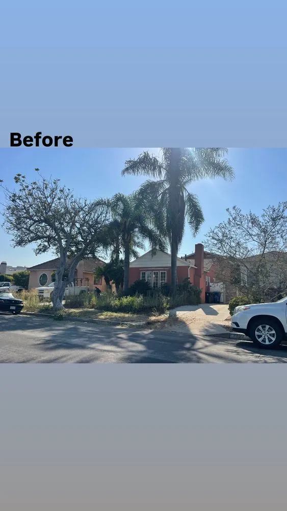 Custom landscape installation experts serving Los Angeles, CA - Los Tigritos Landscaping