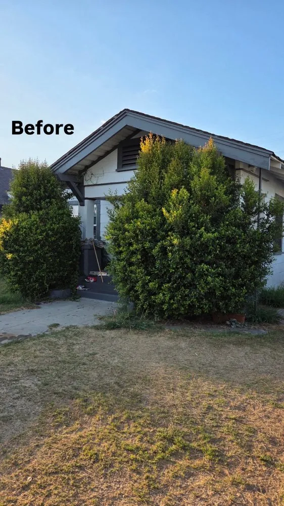 Expert landscape design in Los Angeles, CA - Los Tigritos Landscaping