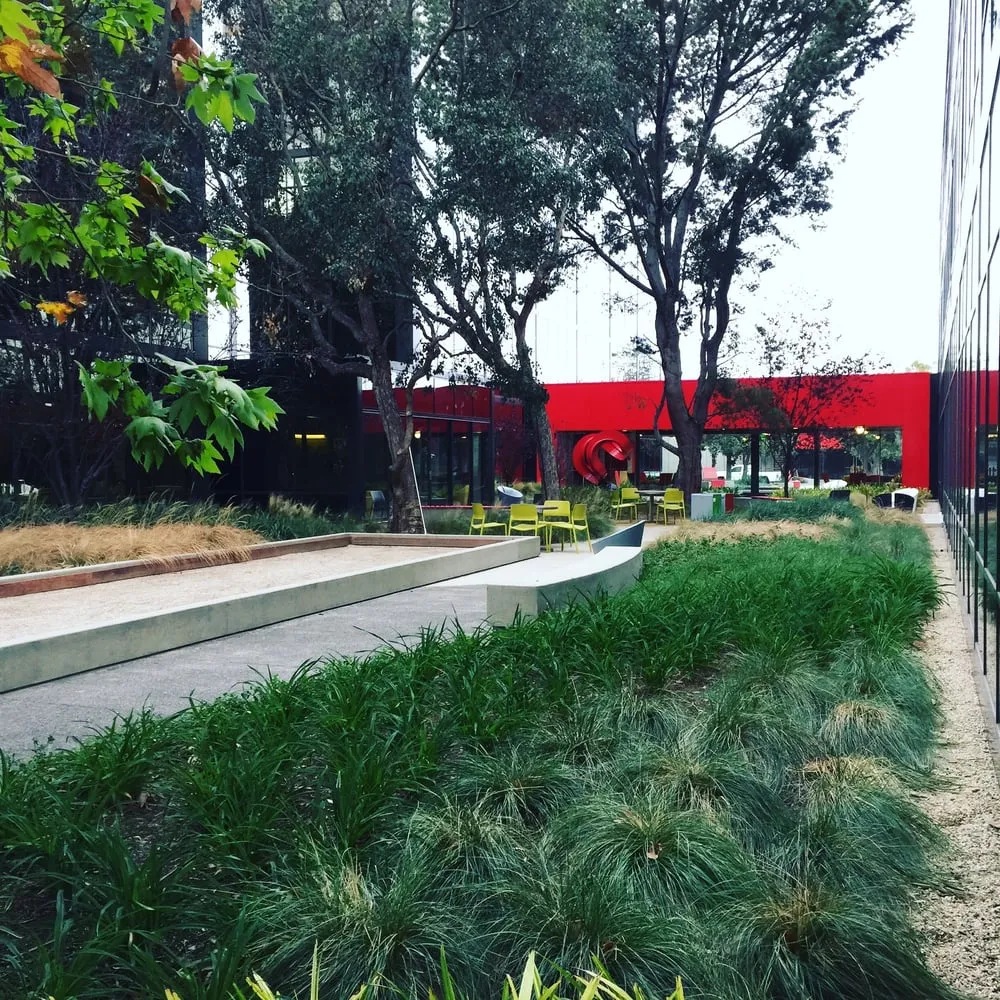 Expert lawn mowing service for homes across Inglewood, CA - Los Trabajadores Inc