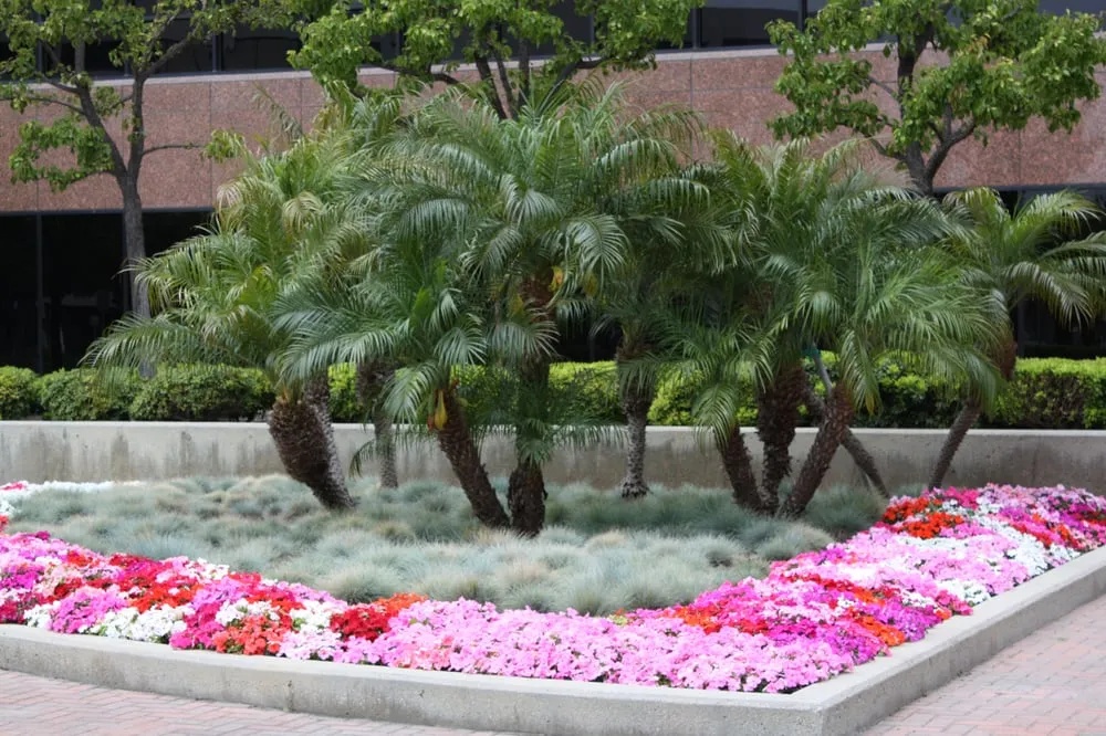 Reliable lawn care service near you in Inglewood, CA by Los Trabajadores Inc