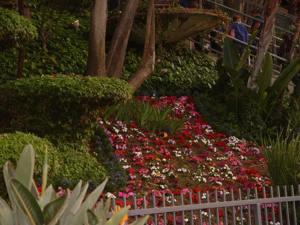 Affordable residential landscaping for outdoor upgrades in Inglewood, CA by Los Trabajadores Inc