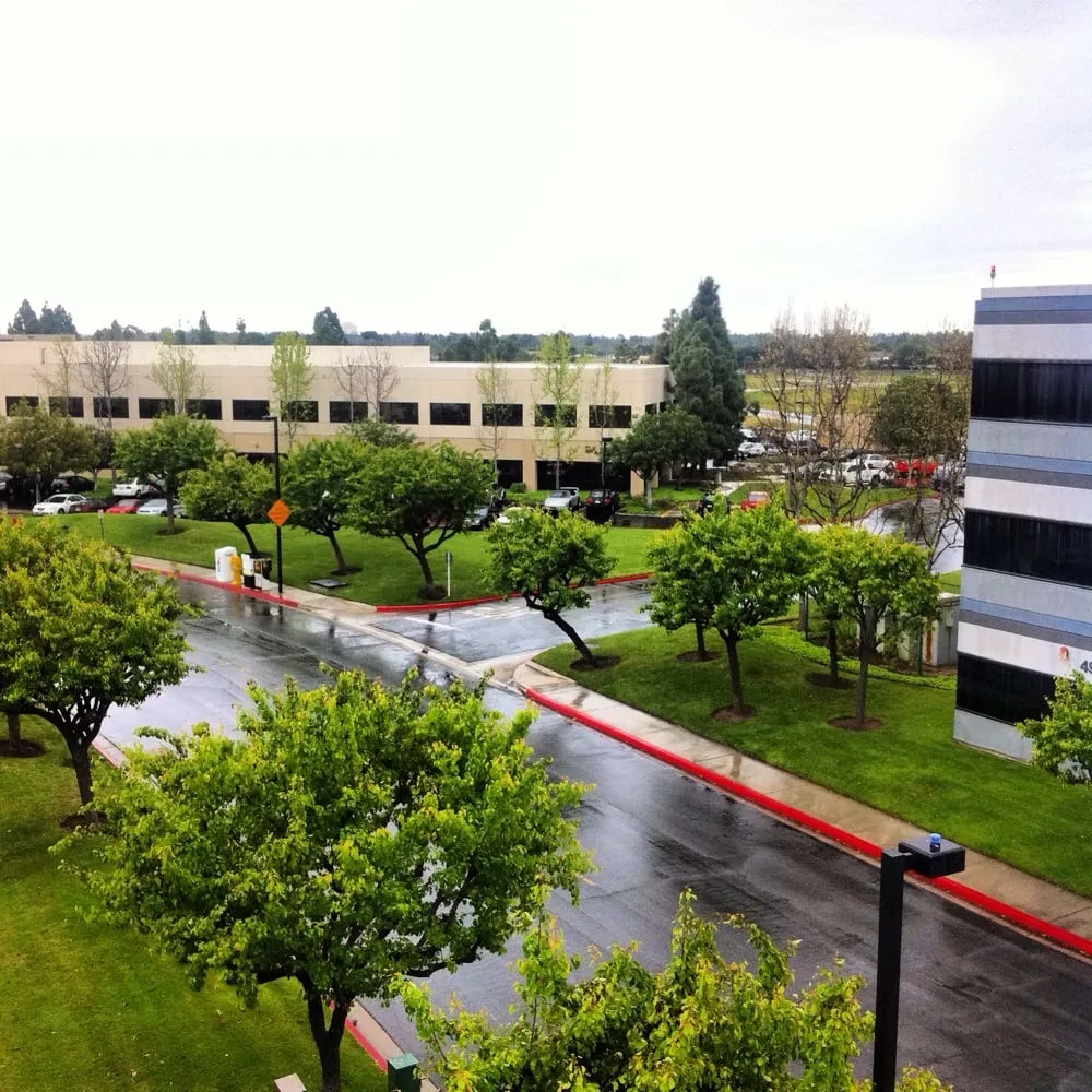 Custom lawn care service for residential properties across Inglewood, CA - Los Trabajadores Inc