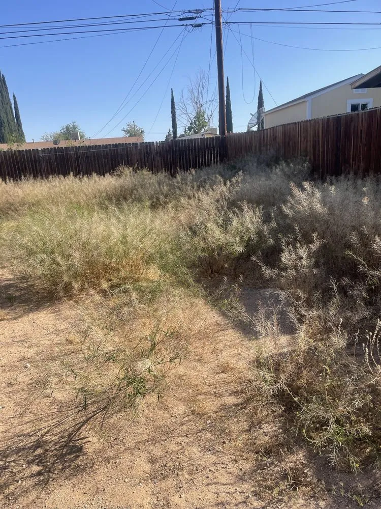 Custom lawn care service for year-round maintenance across Victorville, CA - Los Tres Garibay