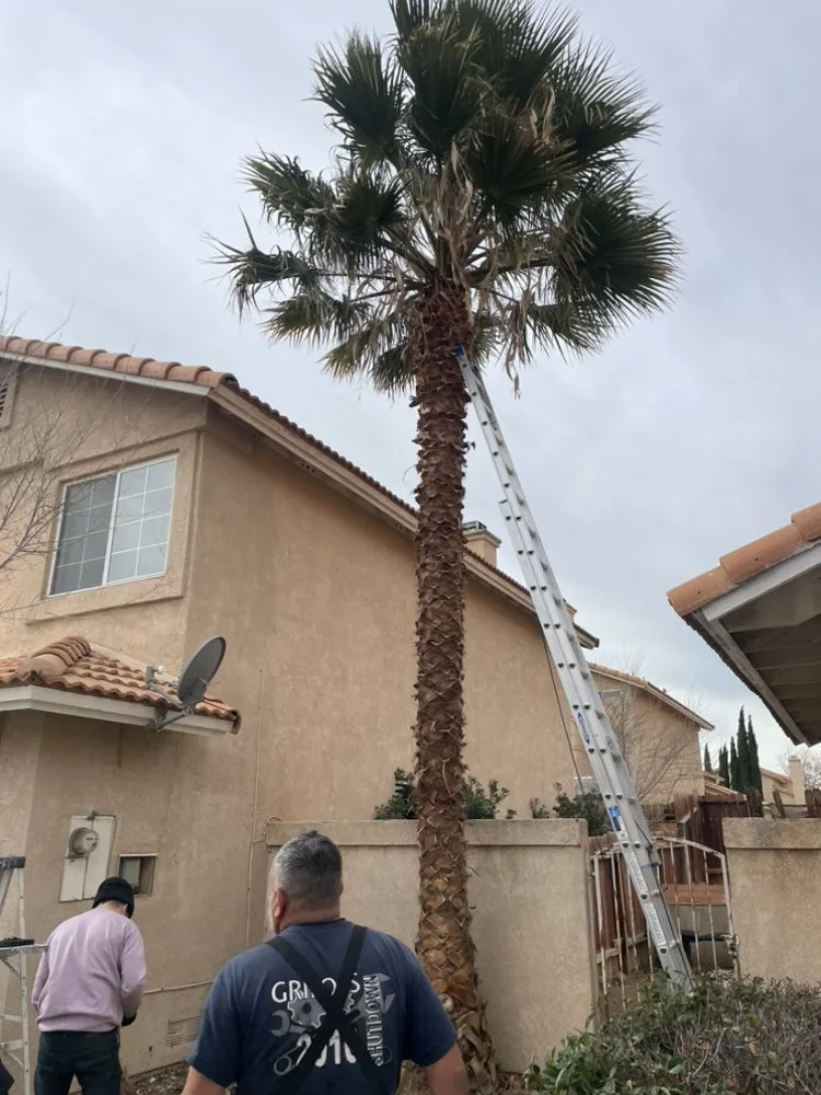 Reliable lawn care service in Victorville, CA - Los Tres Garibay