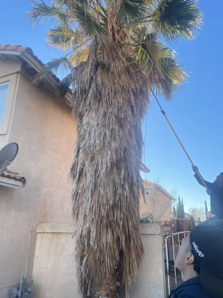 Top-rated landscaping services in Victorville, CA by Los Tres Garibay