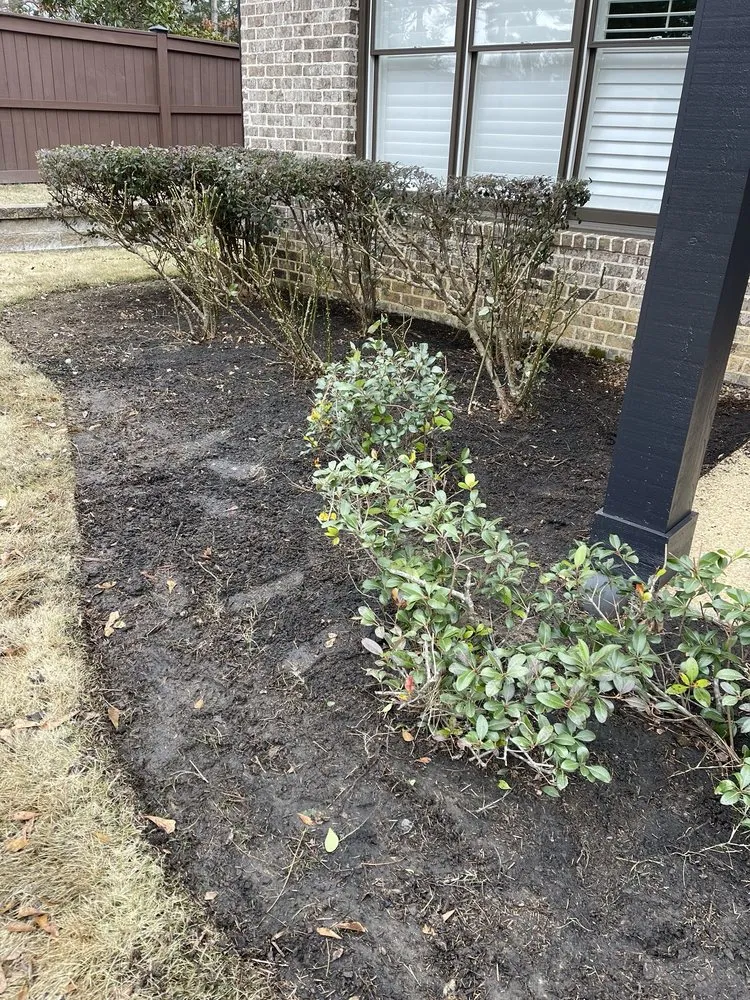 Top-rated yard maintenance for beautiful yards across Tupelo, MS - Los Tres Hermanos