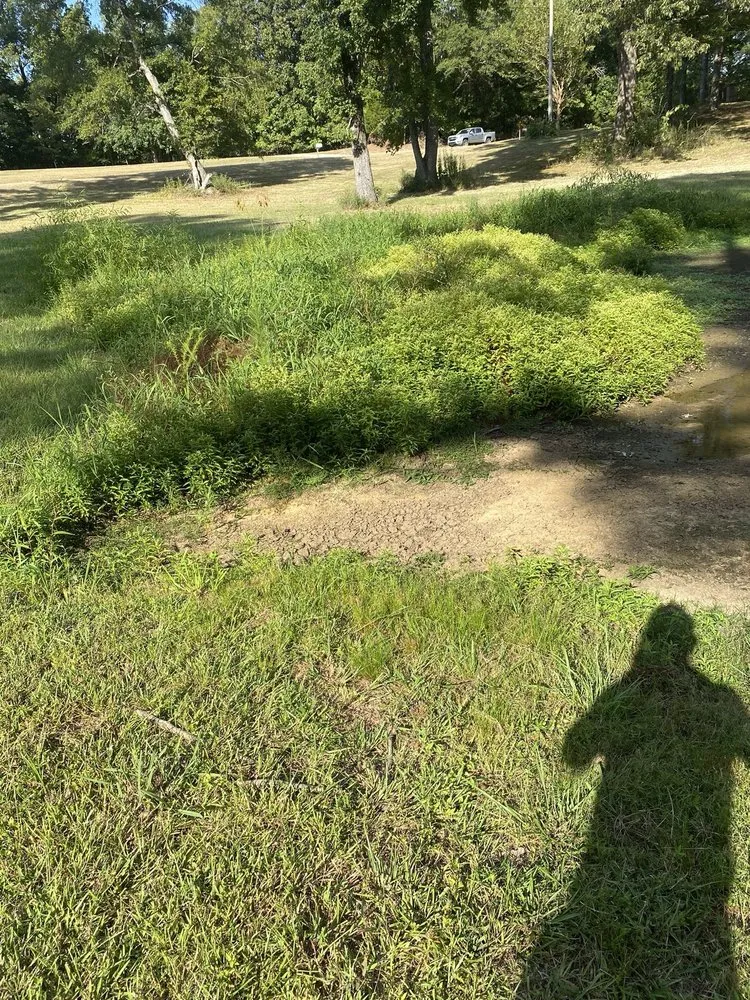 Top-rated yard maintenance in Tupelo, MS by Los Tres Hermanos