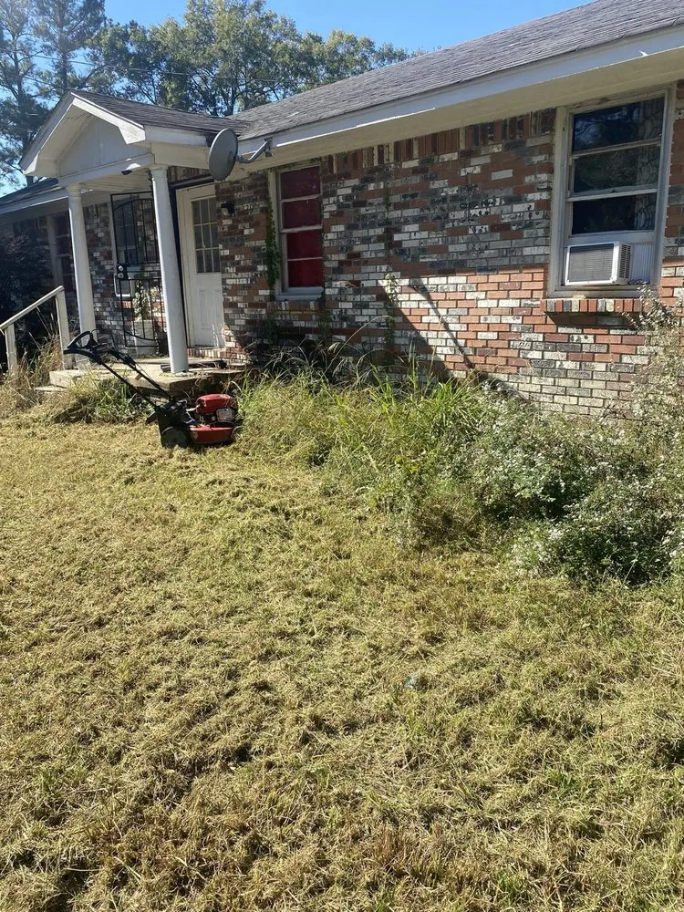 Affordable landscape design in Tupelo, MS - Los Tres Hermanos