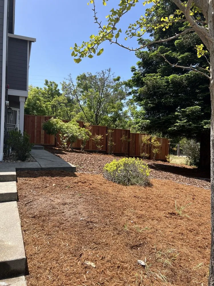 Professional outdoor landscaping in Vacaville, CA - Los Tules Landscaping