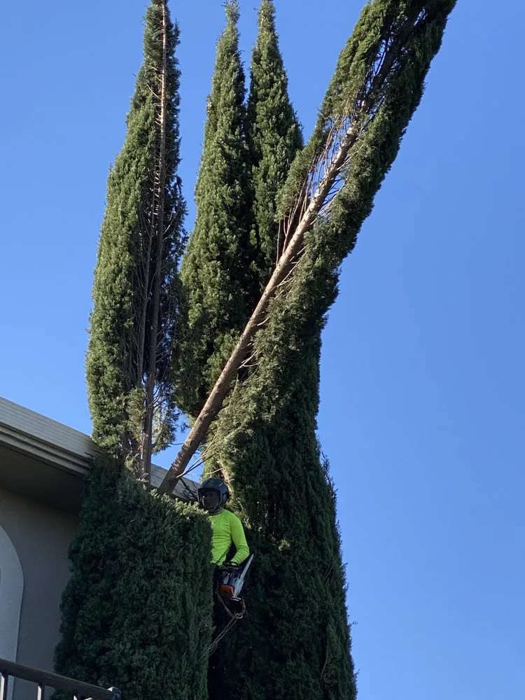 Local garden landscaping in Vacaville, CA - Los Tules Landscaping