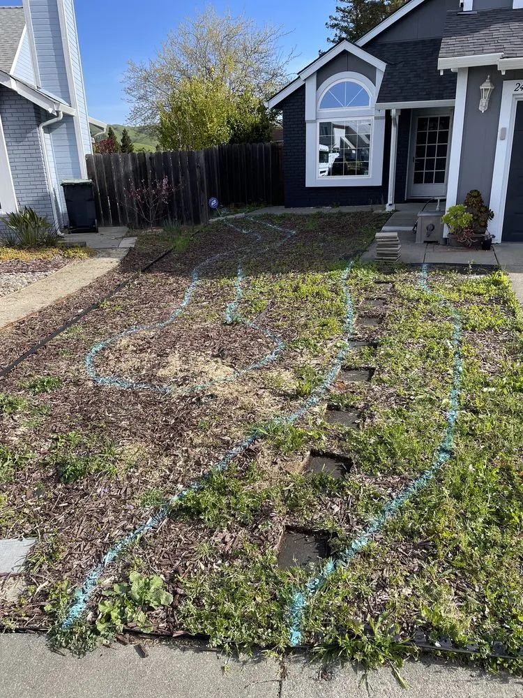 Custom landscape design in Vacaville, CA by Los Tules Landscaping