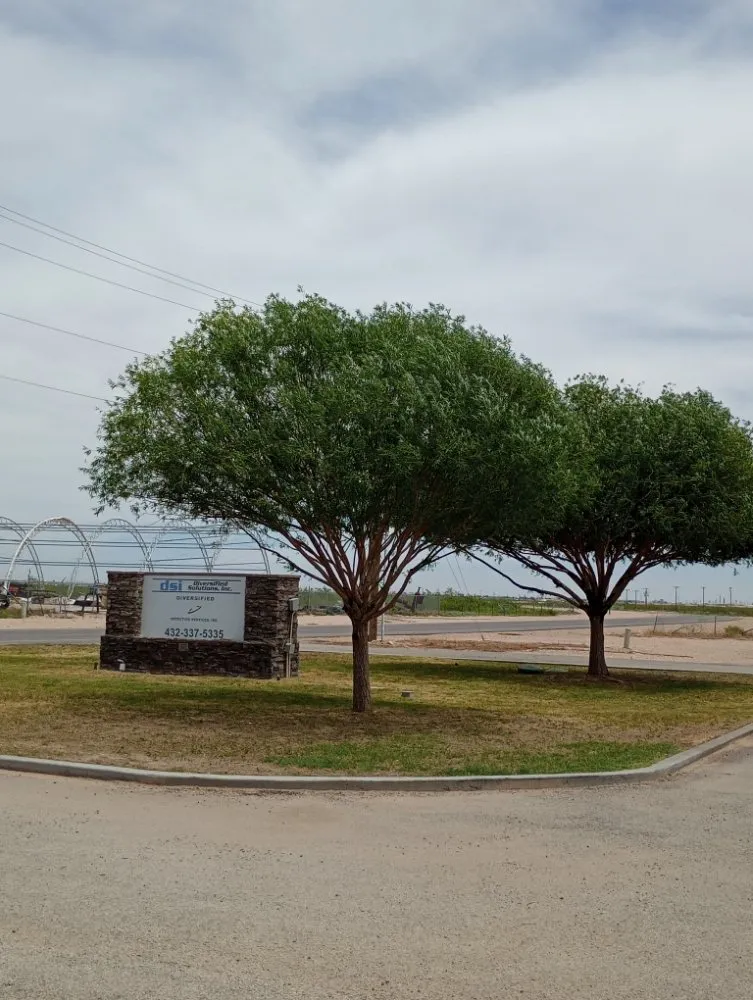 Top-rated residential landscaping for homes in Midland, TX by Lo's Yard Services