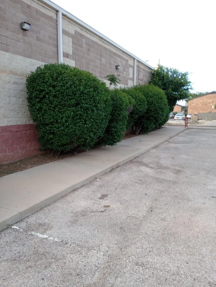 Top-rated residential landscaping in Midland, TX - Lo's Yard Services