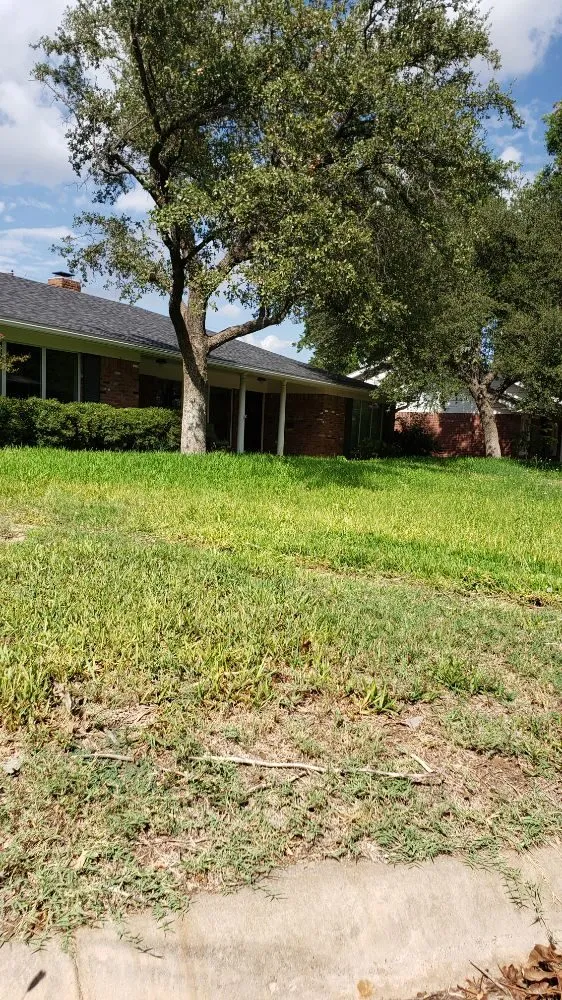 Local outdoor landscaping in Midland, TX - Lo's Yard Services