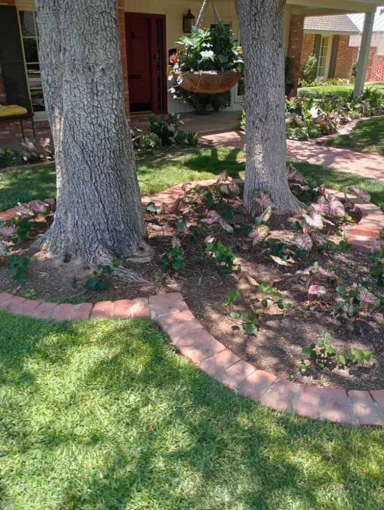 Affordable residential landscaping in Midland, TX by Lo's Yard Services