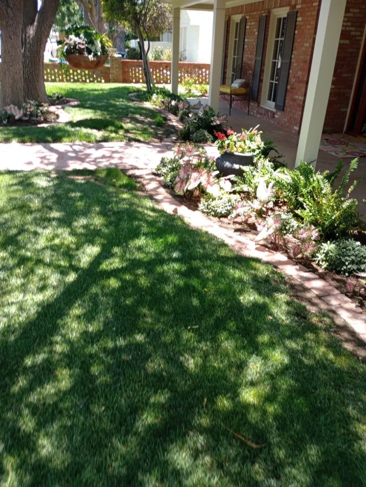 Custom outdoor landscaping near you across Midland, TX - Lo's Yard Services