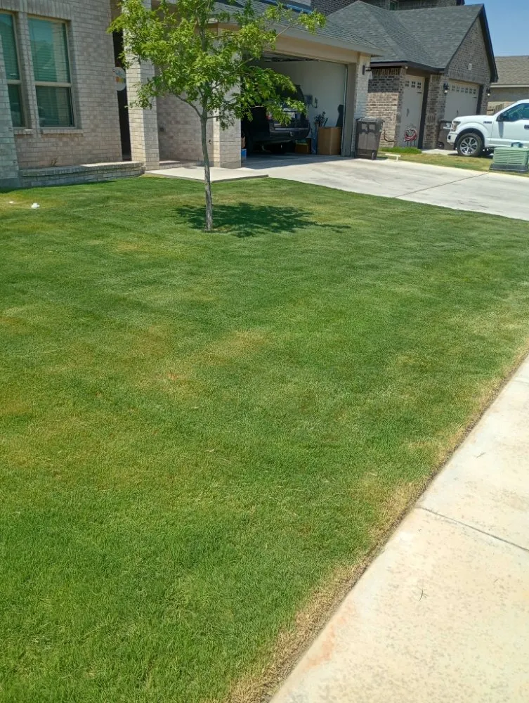Trusted lawn care service for year-round maintenance in Midland, TX by Lo's Yard Services