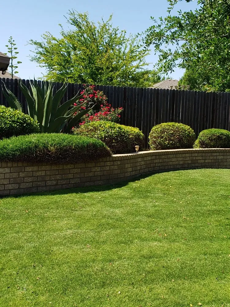 Reliable lawn mowing service in Midland, TX by Lo's Yard Services