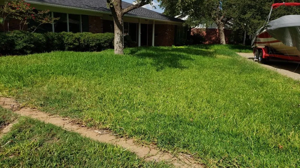 Expert residential landscaping in Midland, TX by Lo's Yard Services
