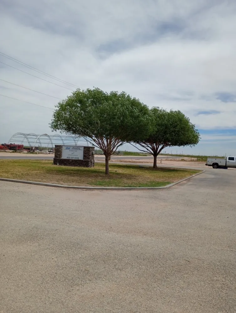 Expert yard cleanup service for year-round maintenance across Midland, TX - Lo's Yard Services