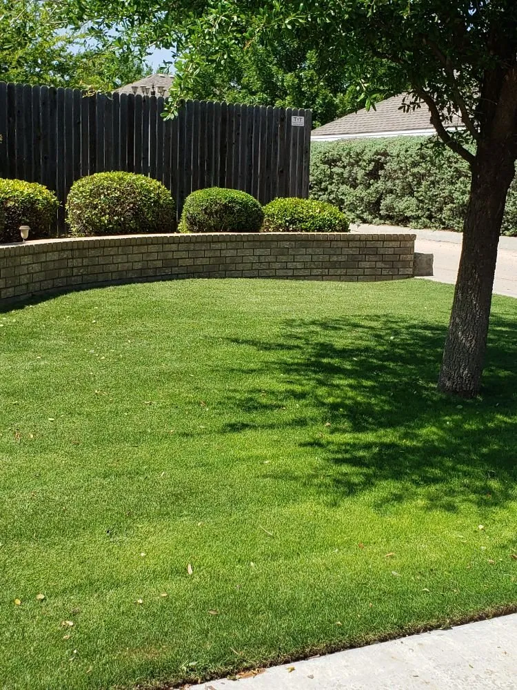 Reliable lawn care service for outdoor upgrades in Midland, TX by Lo's Yard Services