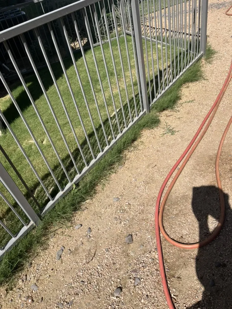 Top-rated garden landscaping for year-round maintenance across Midland, TX - Lo's Yard Services