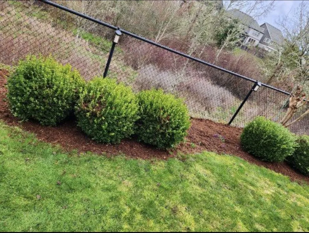 Expert landscape design for homes across Hillsboro, OR - Los Yarderos Del Amor Landscaping