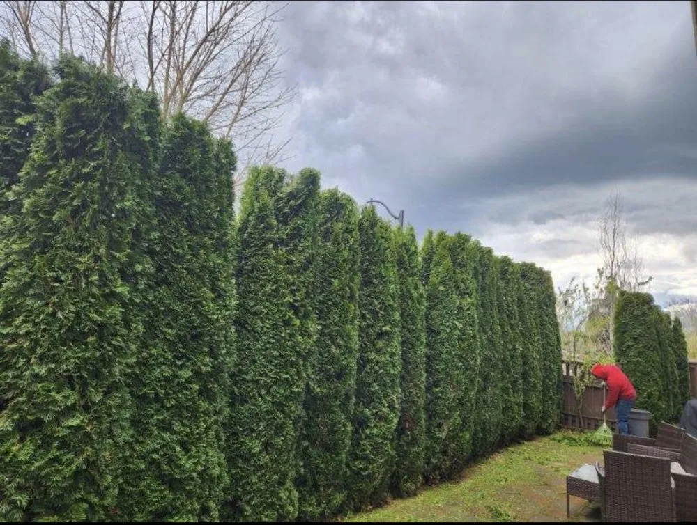 Trusted yard maintenance in Hillsboro, OR - Los Yarderos Del Amor Landscaping