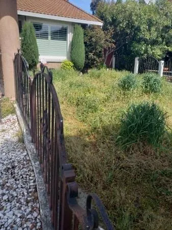 Expert landscape installation for year-round maintenance in Hayward, CA by Los Yarderos