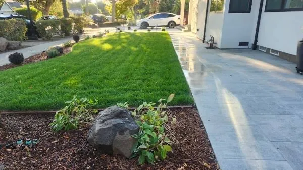 Expert yard maintenance for homes across Hayward, CA - Los Yarderos