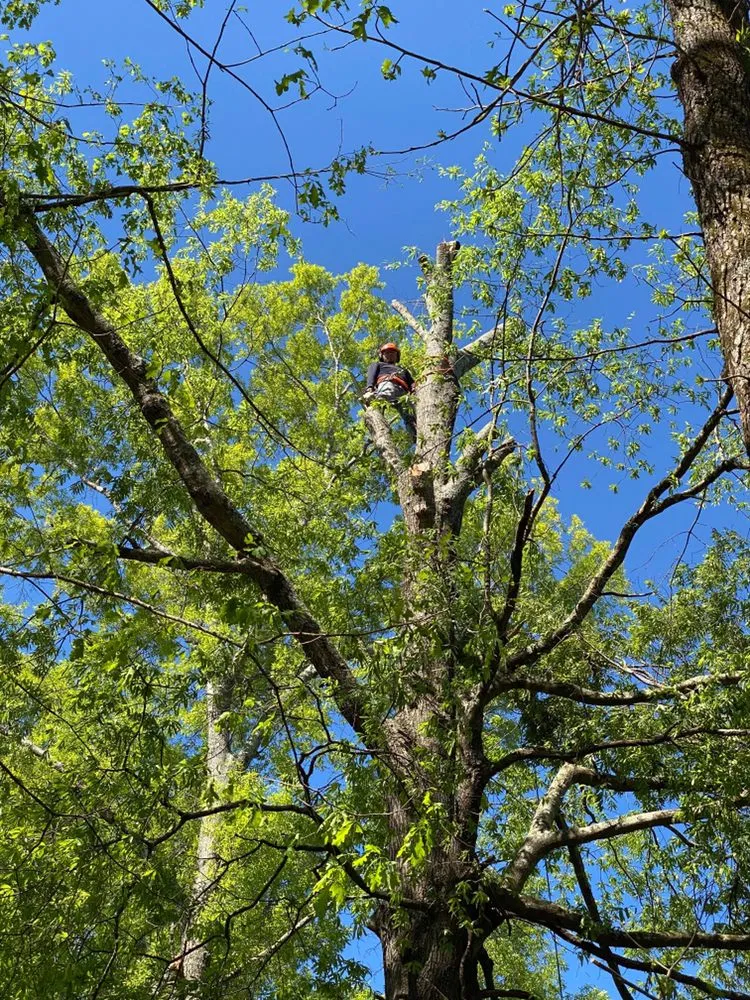 Affordable residential landscaping for outdoor upgrades across Chatsworth, GA - LosBros