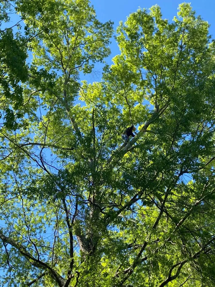 Affordable garden landscaping for year-round maintenance across Chatsworth, GA - LosBros