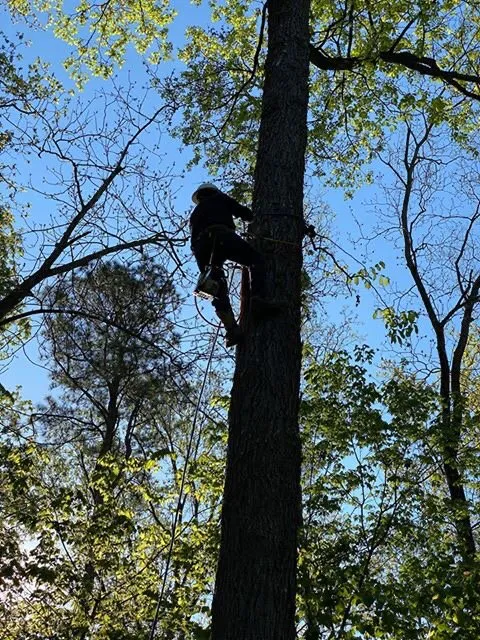 Expert landscape installation experts serving Chatsworth, GA - LosBros