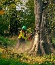 Top-rated residential landscaping experts serving Harrisonville, MO - losh landscaping & tree service