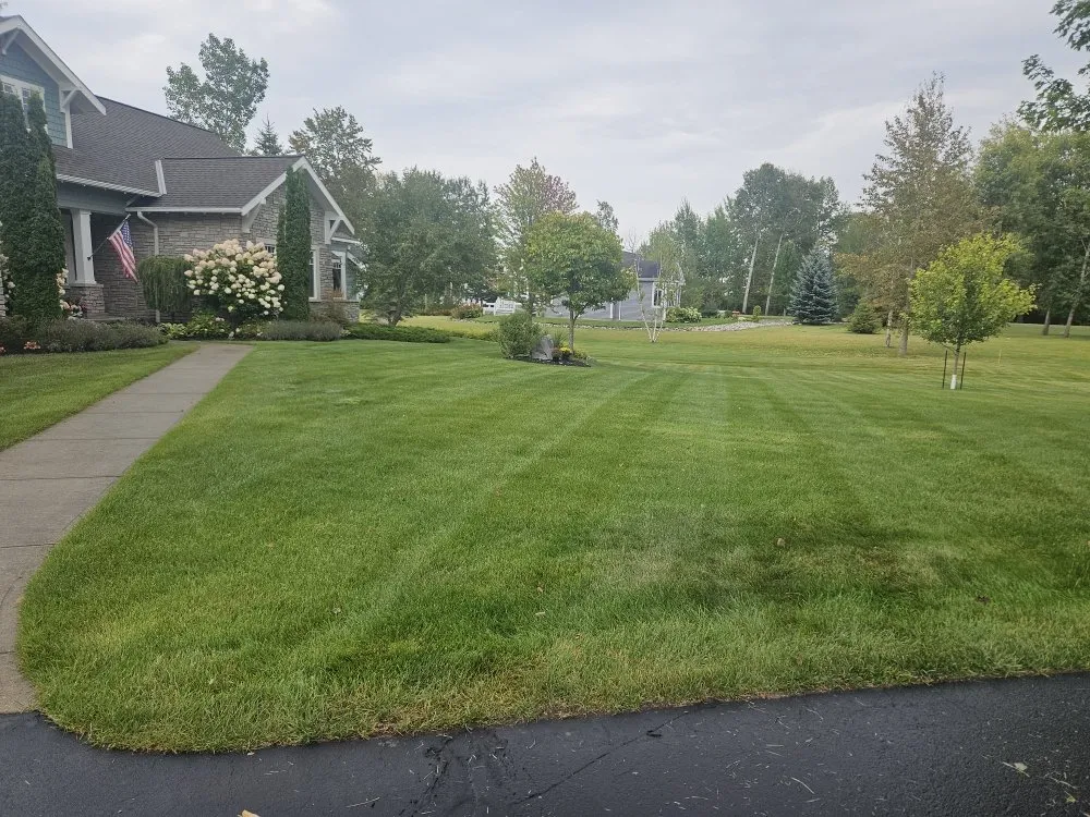 Expert lawn mowing service experts serving Cheboygan, MI - Losievsky Services