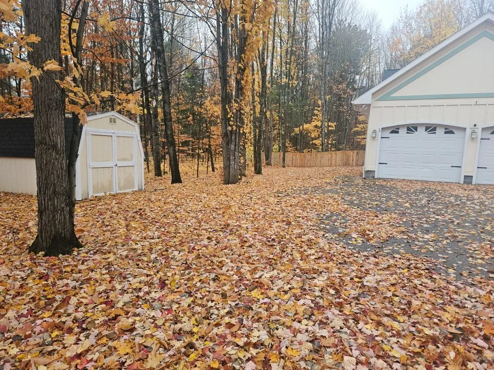 Expert landscaping services for outdoor upgrades in Cheboygan, MI by Losievsky Services