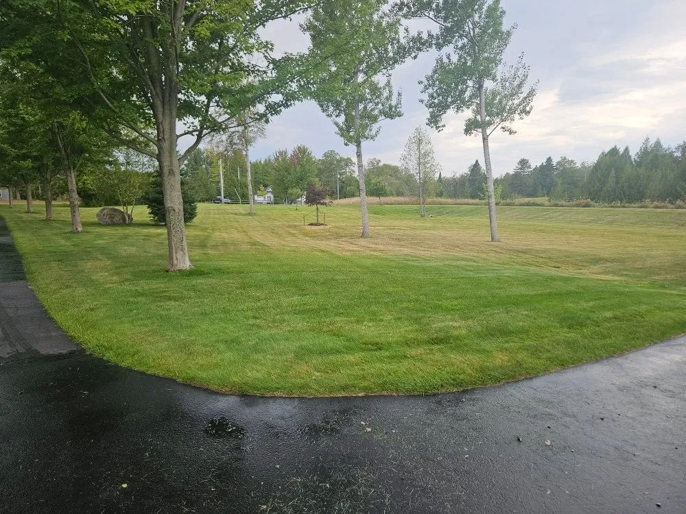 Affordable yard cleanup service for homes across Cheboygan, MI - Losievsky Services