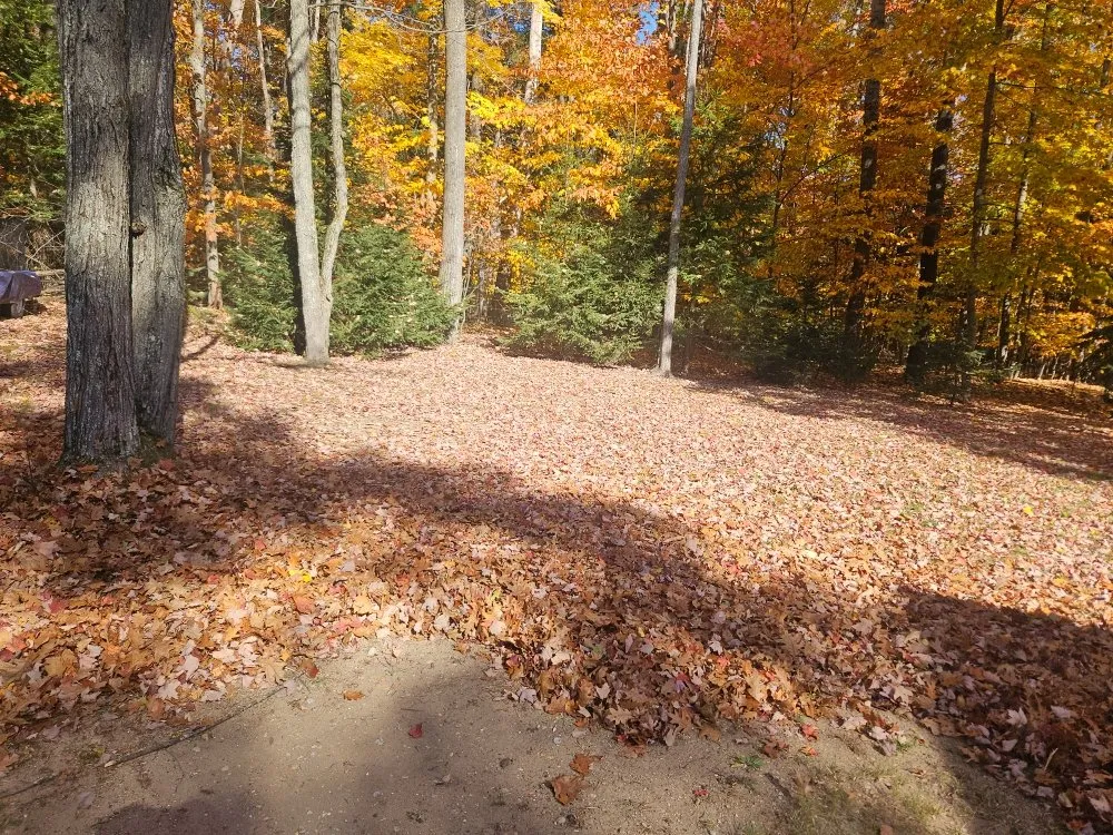 Top-rated lawn mowing service experts serving Cheboygan, MI - Losievsky Services