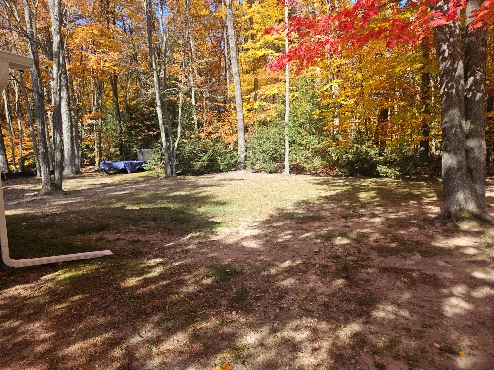 Professional landscaping services experts serving Cheboygan, MI - Losievsky Services