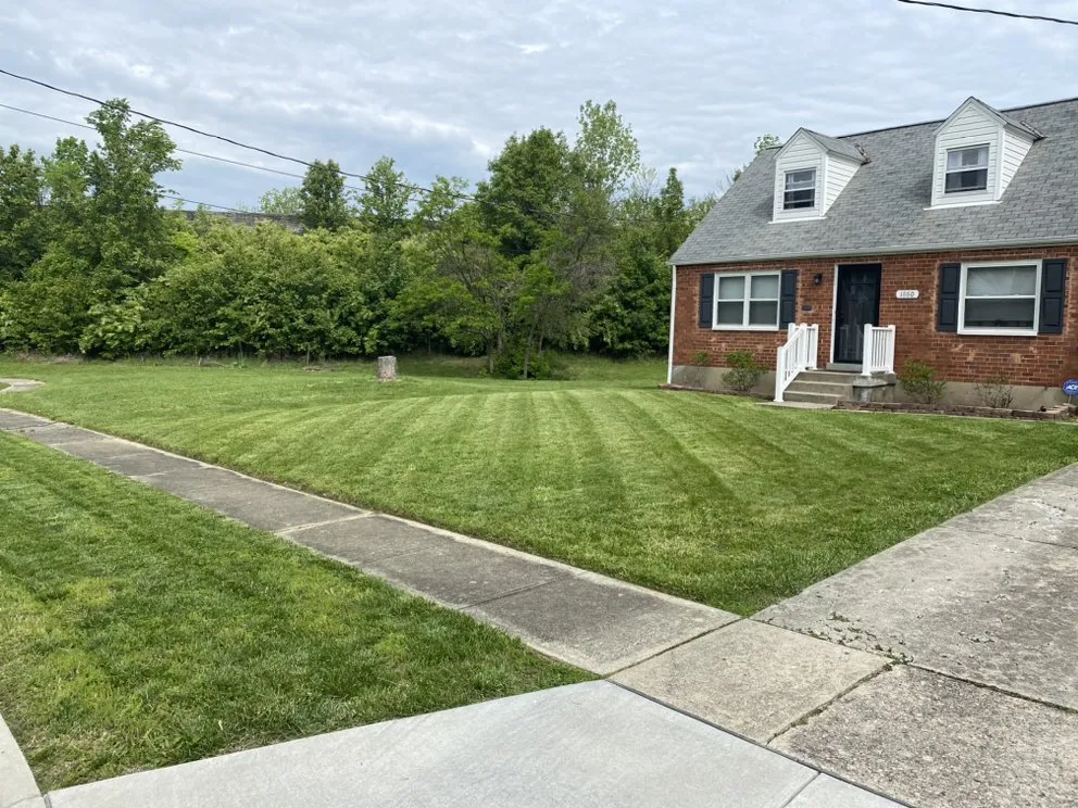 Expert yard cleanup service in Cincinnati, OH by Loso’s Landscaping & Home Improvement