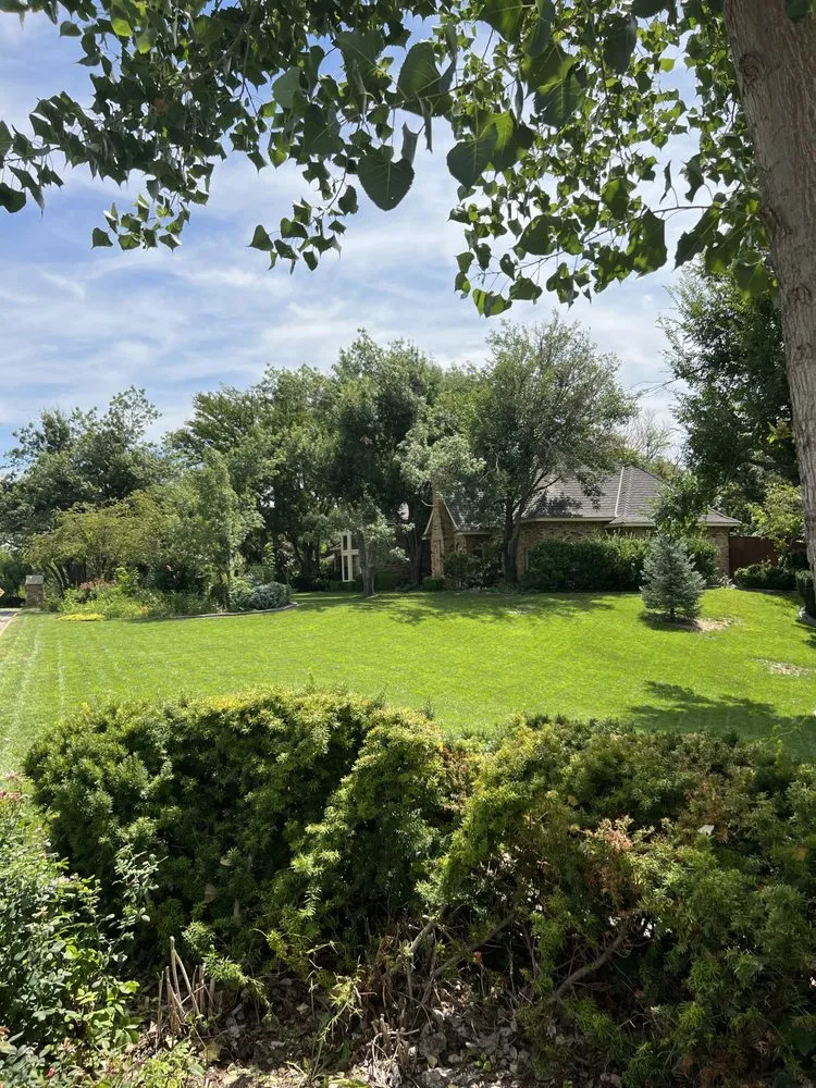 Affordable yard maintenance in Pampa, TX - Losoya & Son Landscaping