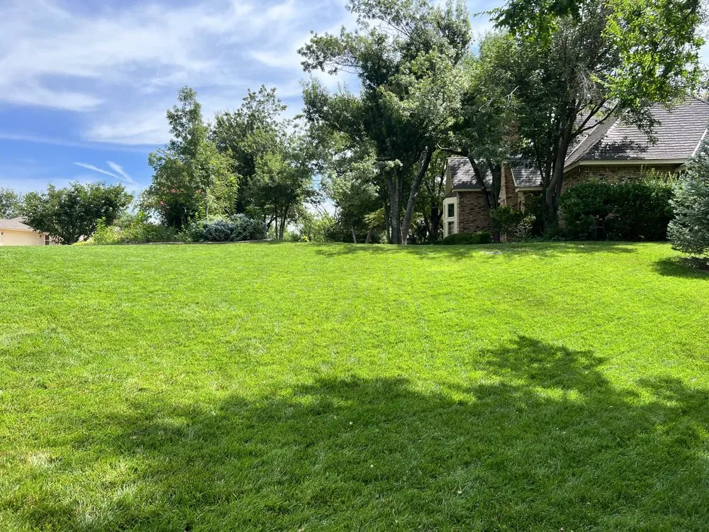 Affordable yard cleanup service near you in Pampa, TX by Losoya & Son Landscaping